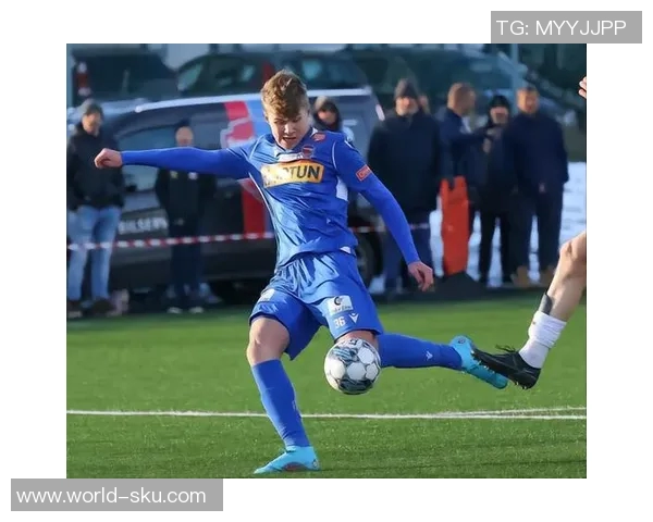 维迪奇:从坚如磐石的防线到足球历史中的传奇中卫 维迪奇:从坚如磐石的防线到足球历史中的传奇中卫