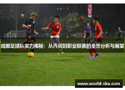 成都足球队实力揭秘：从青训到职业联赛的全景分析与展望