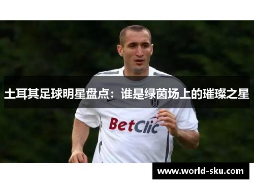 土耳其足球明星盘点：谁是绿茵场上的璀璨之星
