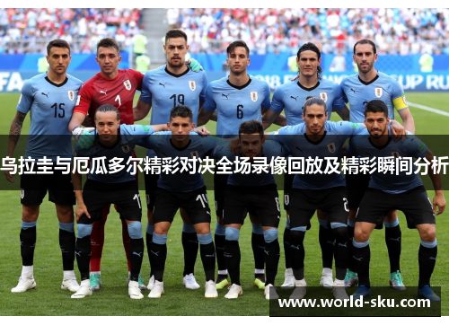 乌拉圭与厄瓜多尔精彩对决全场录像回放及精彩瞬间分析
