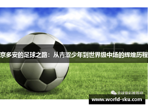京多安的足球之路：从青涩少年到世界级中场的辉煌历程