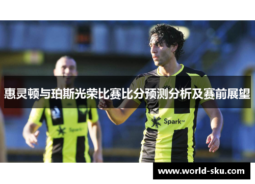 惠灵顿与珀斯光荣比赛比分预测分析及赛前展望